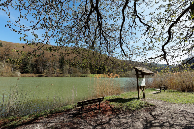 Ecologie du lac