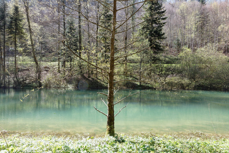 Lac de Lucelle