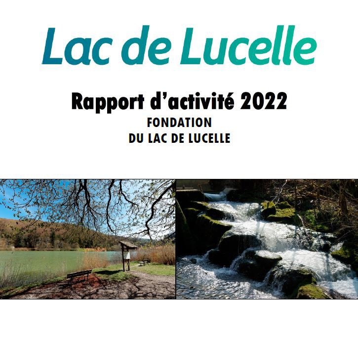 rapport d'activité