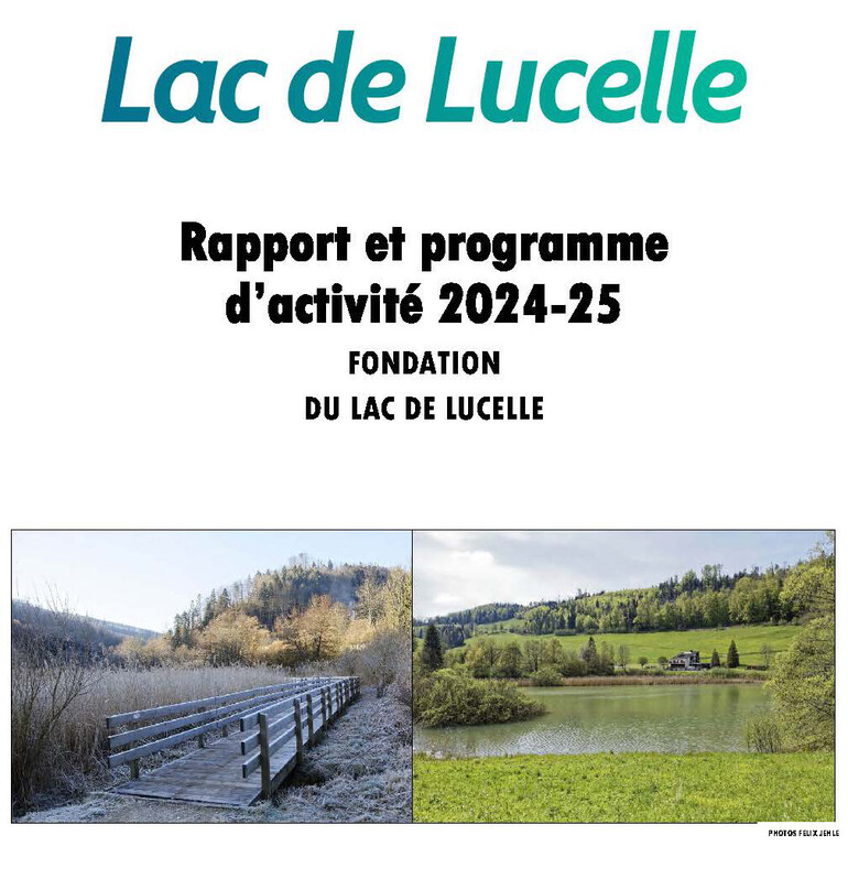 Rapport d'activité