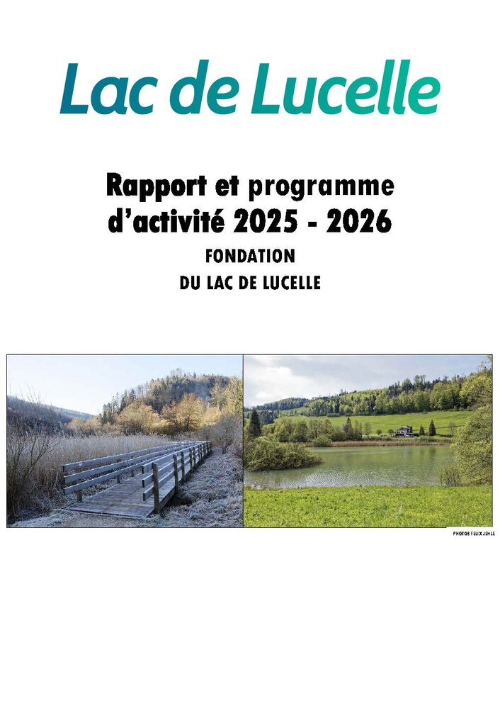 Rapport d'activité de la fondation