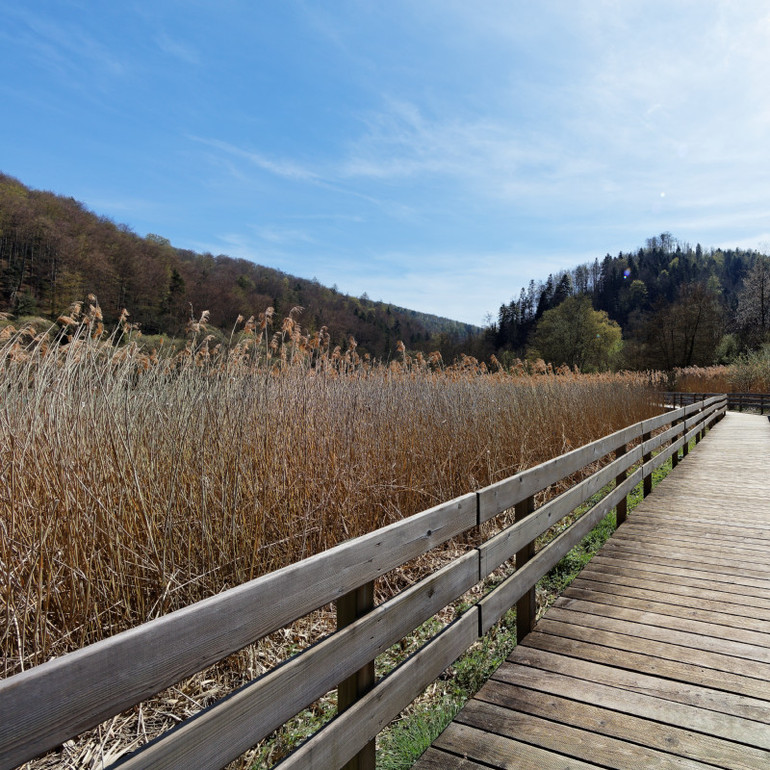 Spazierweg und Holzsteg um den See