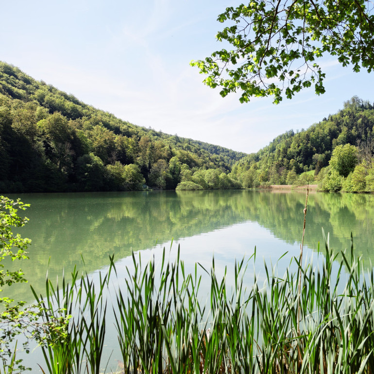 Am See Sommer 21