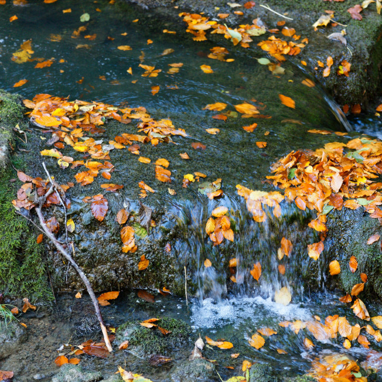 Herbst Mähen