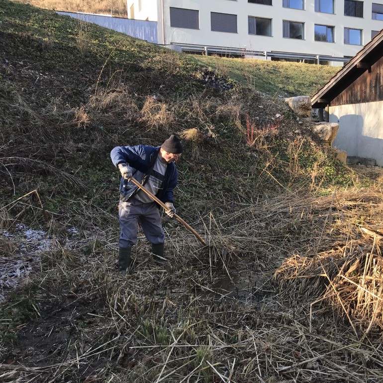 Arbeiten Lucelle