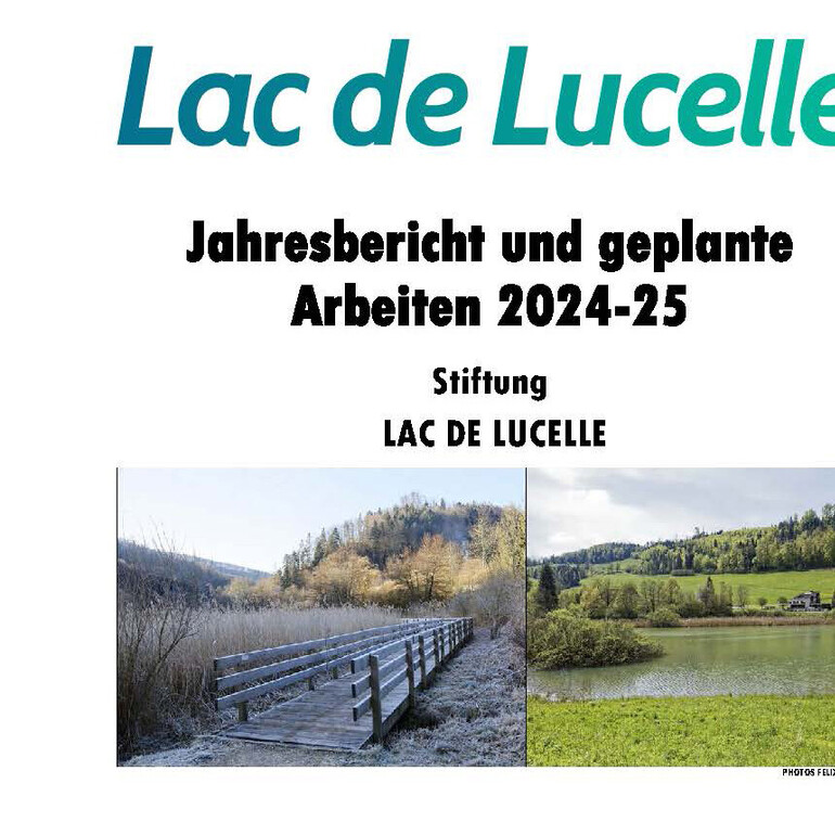 Jahresbericht der Stiftung 2024