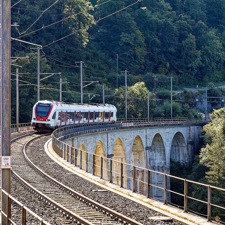 Jahresversammlung Amis 2025