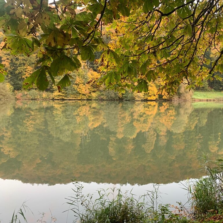 « Crépuscule Luce Elles »: un spectacle entre ombre et lumière