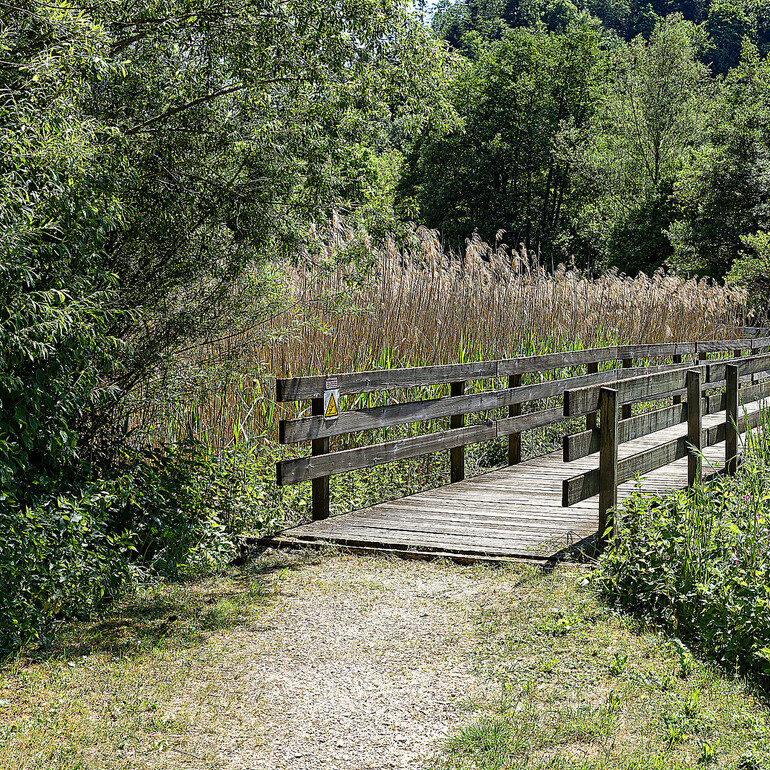 Frühling am See