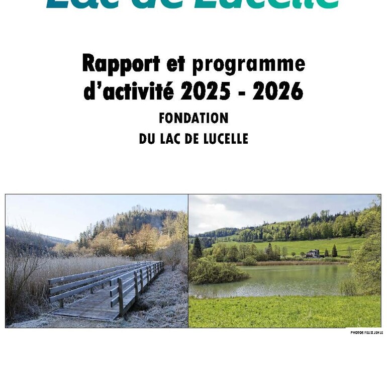 Jahresbericht 2025-26