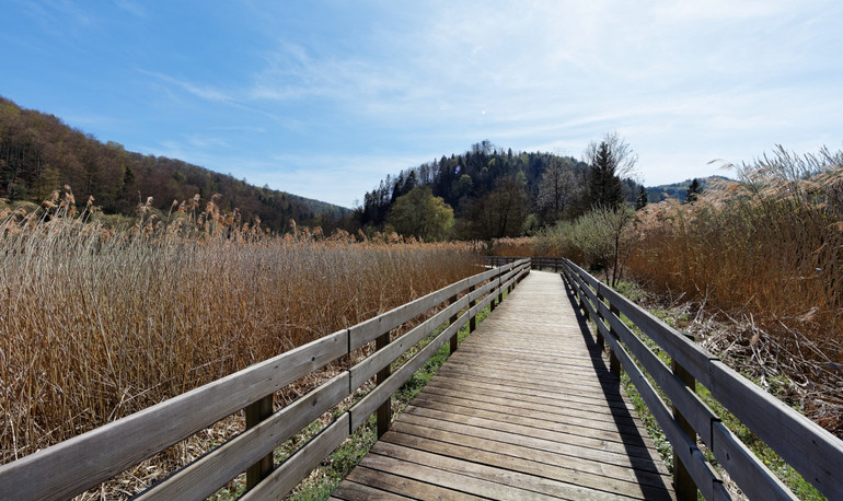 Promenade autour du lac