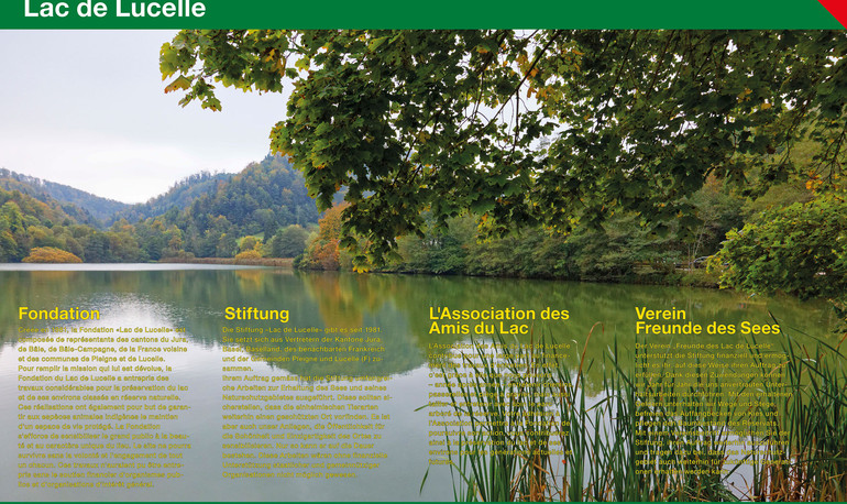 Neue Infotafeln rund um den See