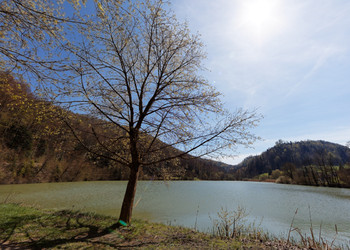 Spazierweg und Holzsteg um den See