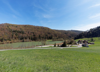 Spazierweg und Holzsteg um den See