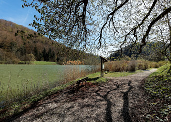 Promenade autour du lac