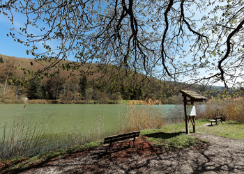 Spazierweg und Holzsteg um den See