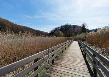 Spazierweg und Holzsteg um den See