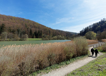 Spazierweg und Holzsteg um den See