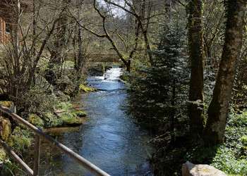 Spazierweg und Holzsteg um den See