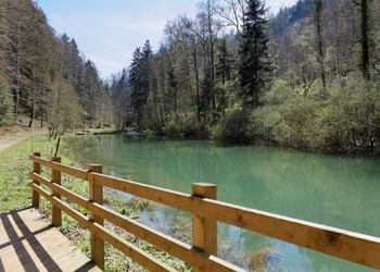 Promenade autour du lac