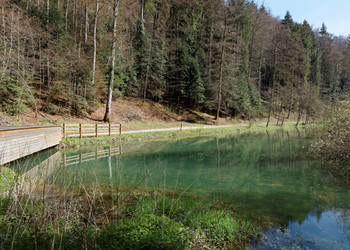 Promenade autour du lac