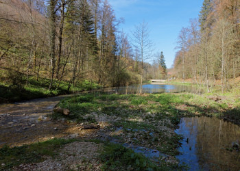 Die Revitalisierung des Sees