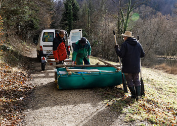 Bildbeschreibung