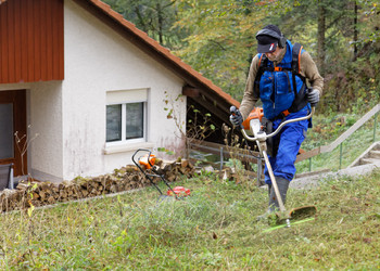 Bildbeschreibung