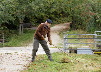 Bildbeschreibung