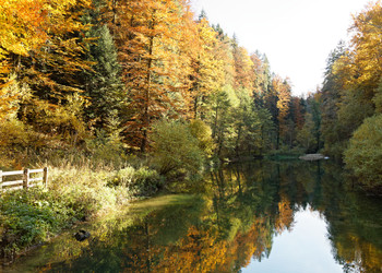 Bildbeschreibung