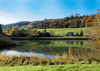 Bildbeschreibung