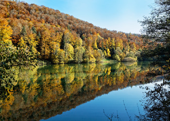 Bildbeschreibung