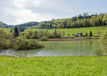 Bildbeschreibung