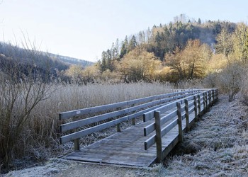 Bildbeschreibung