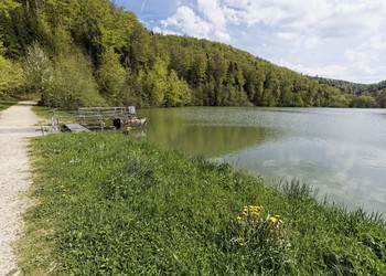 Bildbeschreibung