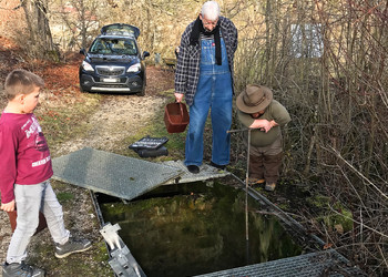 Bildbeschreibung