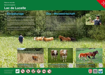 Bildbeschreibung