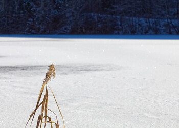 Hiver2026