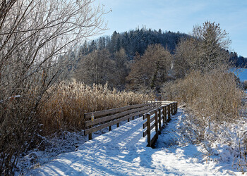 Winter2026