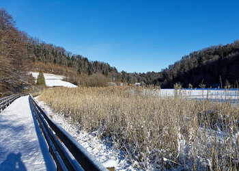 Hiver2026