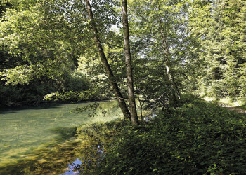 Bildbeschreibung