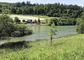 Bildbeschreibung