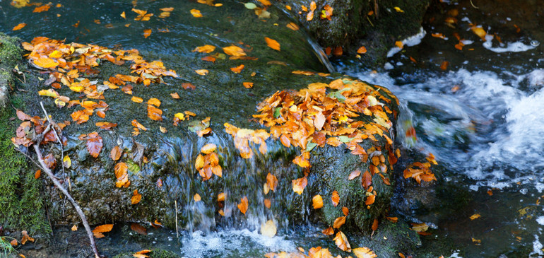 Herbst Mähen