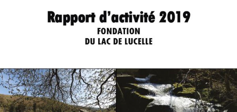 Rapport 2019