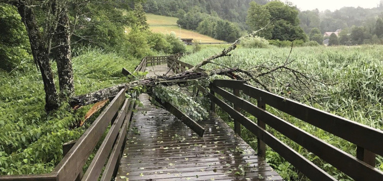 Sturmschäden in Lucelle