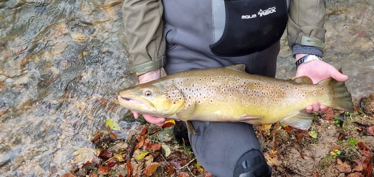 Abfischen am Lac de Lucelle