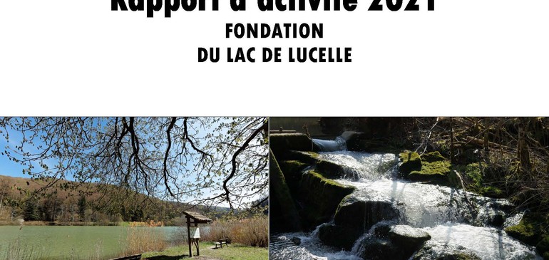 Rapport d'activité 2021