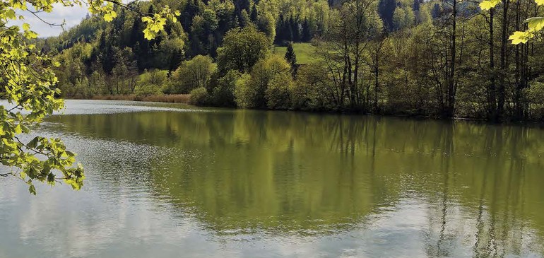 La Fête du Lac de Lucelle 26.08.2023