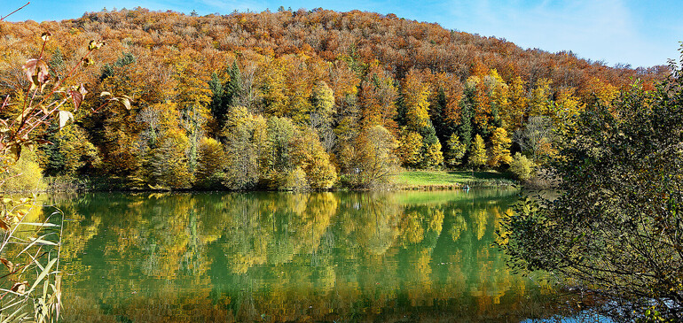 Collaboration exceptionnelle entre la Résidence du Lac et la Fondation du lac de Lucelle