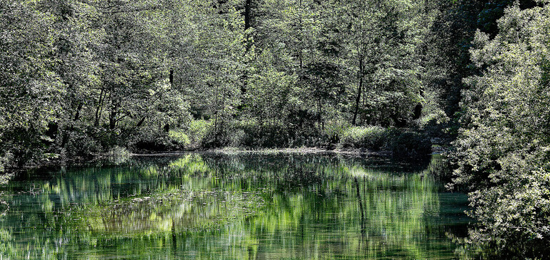 Frühling am See 2026